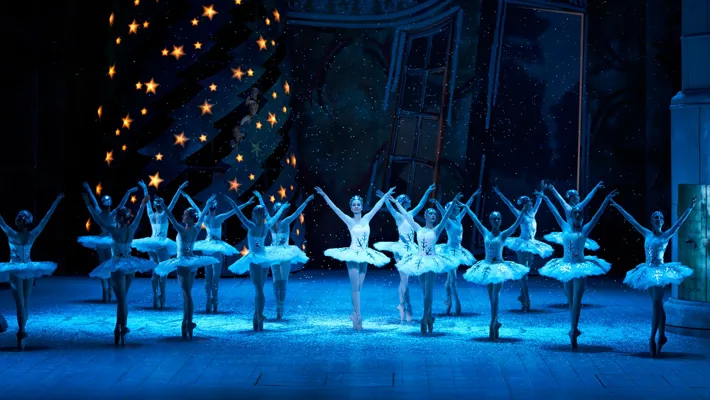 NEN08932 Nutcrackerwebb.