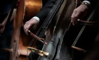 A close-up of a bass instrument, a hand holding a bow.