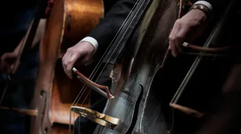En närbild på ett basinstrument, en hand håller i en stråke.