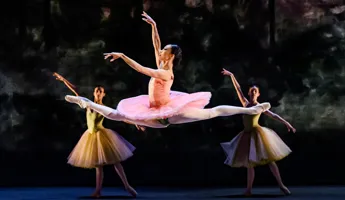 Le Corsaire 2023.