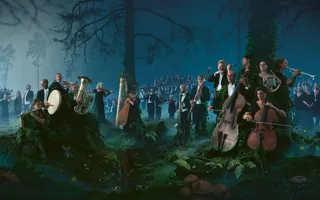 A large group of musicians standing and sitting in a forest landscape.