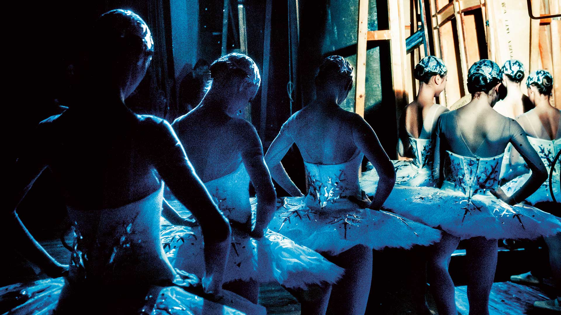 Moodbild 2012 Bakomkulisserna Svanor Carlthorborgwebb.