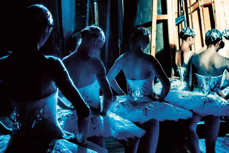 Moodbild 2012 Bakomkulisserna Svanor Carlthorborgwebb.