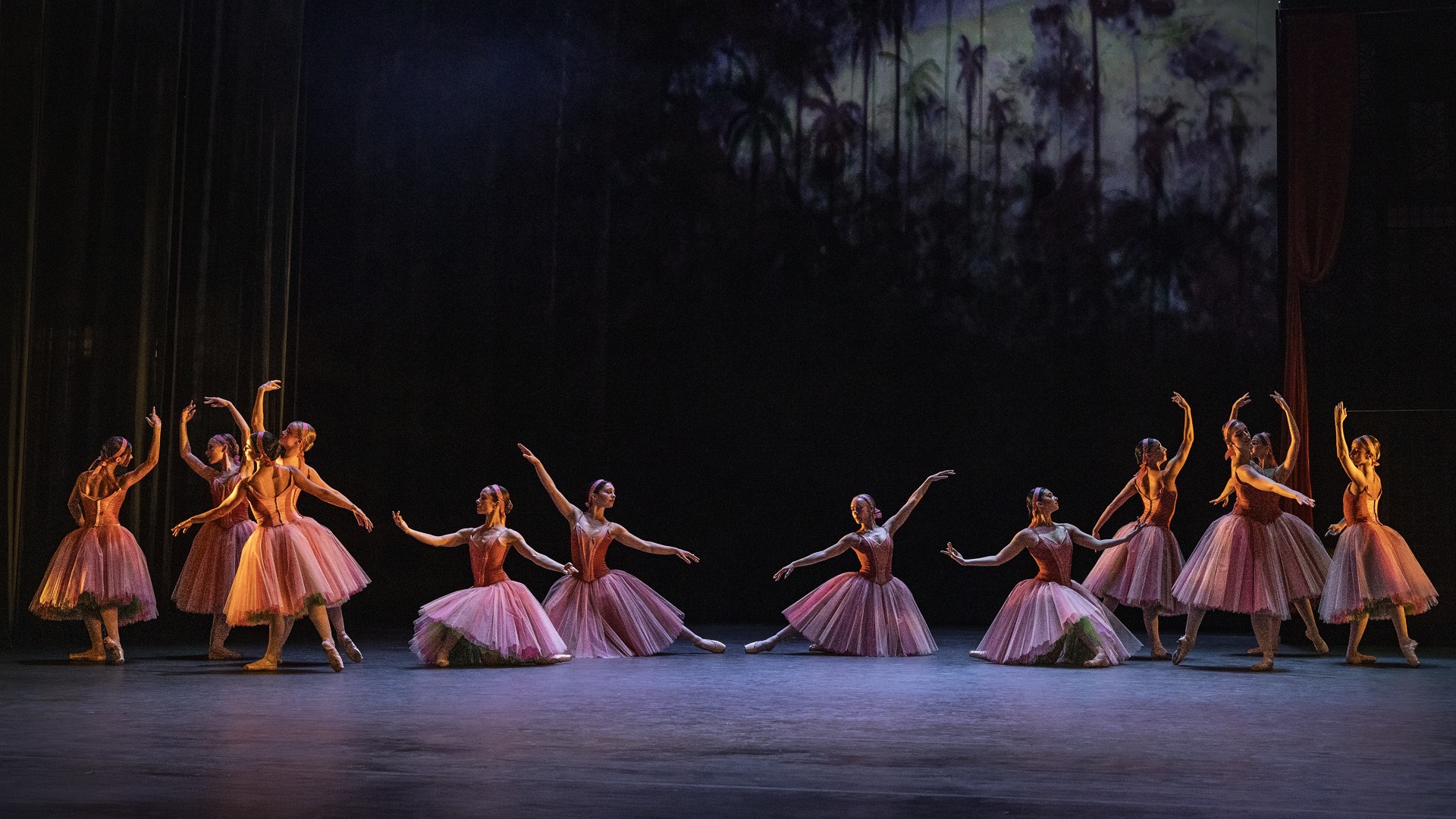 Le corsaire 2026_6.jpg.