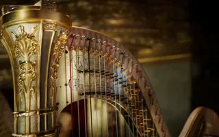 Harpa I Närbild Kungliga Hovkapellet.