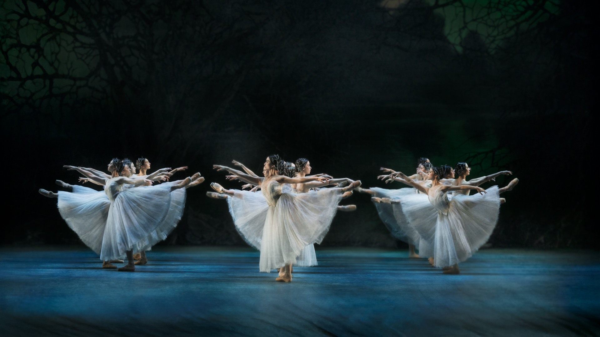Several female dancers in long tulle skirts make synchronized movements.