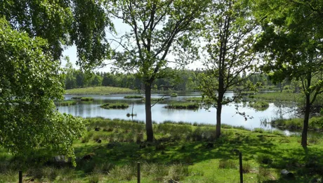 Sommarsverige.jpg.
