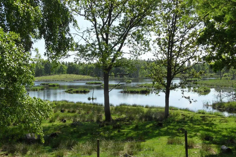 Sommarsverige.jpg.