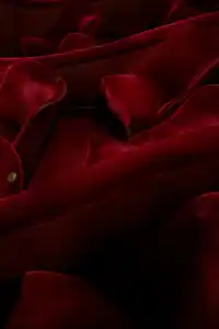 Close-up of red velvet chairs in the Opera's auditorium.