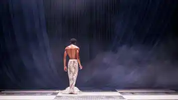 GUSTAVIA 20241010 Hl5403webb.