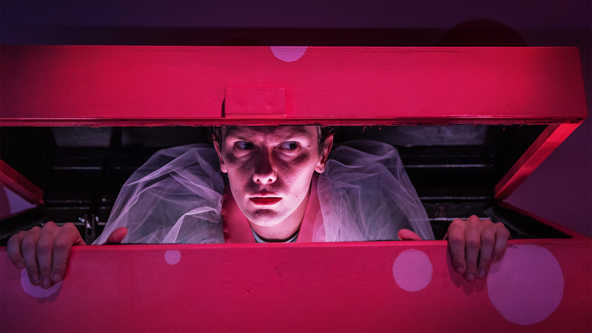 En pojke med ett en något lömsk blick tittar ut från en leksakslåda.