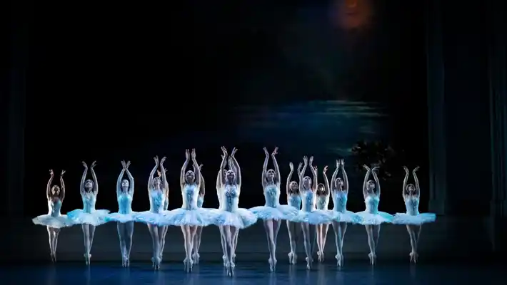 A large number of dancers on a dark stage standing on tiptoe and wearing white tutus.