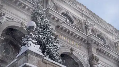 Close-up of a house facade in snowfall, a fir tree standing on a ledge.