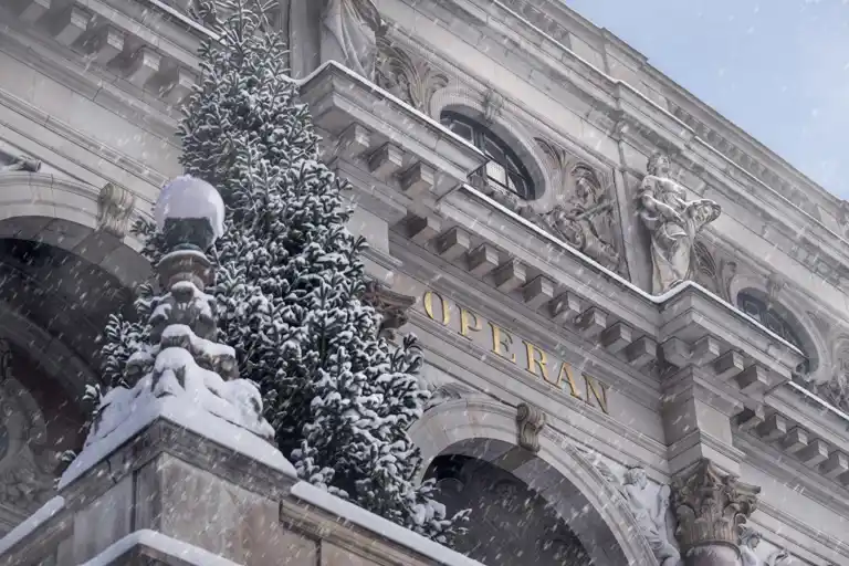 Närbild på en husfasad i snöfall, en gran står uppställd på en avsats.